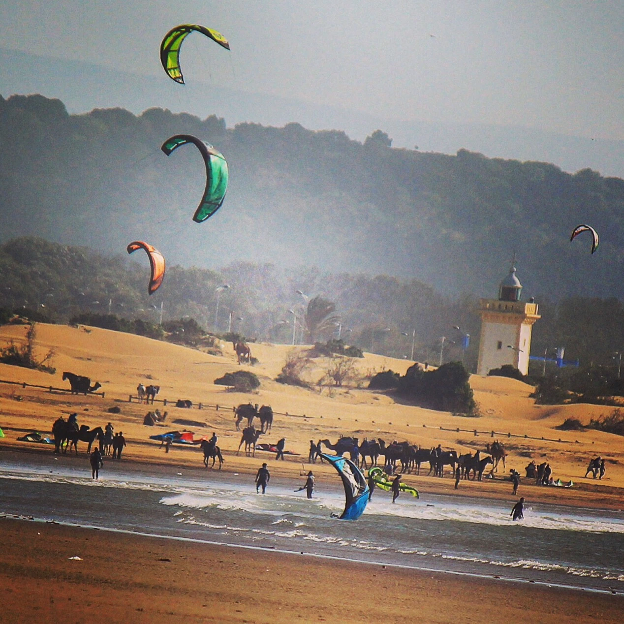 cote-essaouira