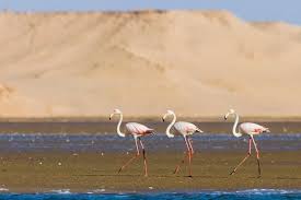 parc-national-souss-massa